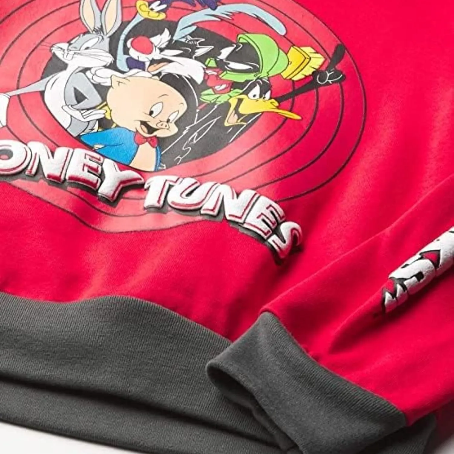 Looney Tunes Boys Hoodie and Jogger Pants 2-Piece Outfit Set- Boys Sizes 4-16